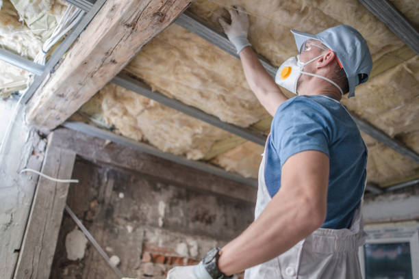 Best Residential Insulation in Nixon, TX